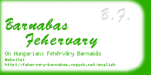 barnabas fehervary business card