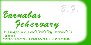 barnabas fehervary business card